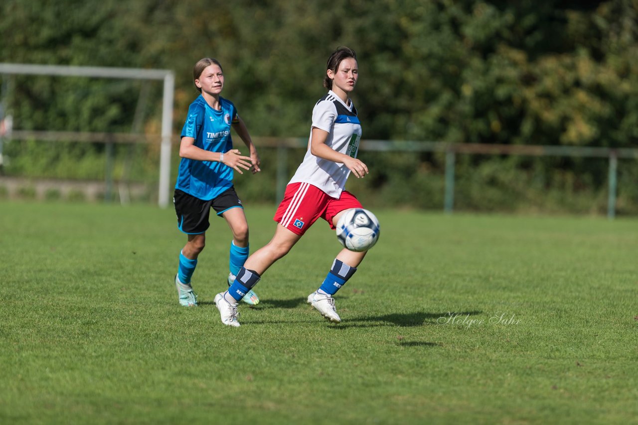 Bild 149 - wBJ VfL Pinneberg - Hamburger SV 2 : Ergebnis: 1:3